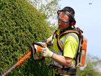 contractor using a Stihl hedge trimmer to prune a shrub