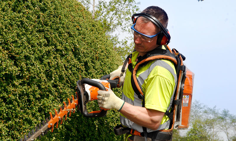 contractor using a Stihl hedge trimmer to prune a shrub