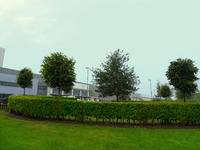 shrubbery and trees at a large distribution centre in nottinghamshire