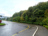 vehicle entrance lined with trees at a large distribution centre in nottinghamshire