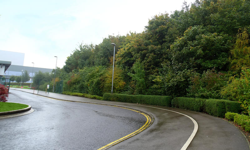 vehicle entrance lined with trees at a large distribution centre in nottinghamshire