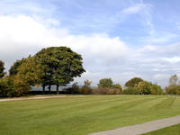 lawn stripes in the autumn on a green public open space in Sheffield, South Yorkshire