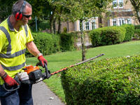 landscape gardener in Sheffield, South Yorkshire pruning hedges with Stihl hedge trimmer