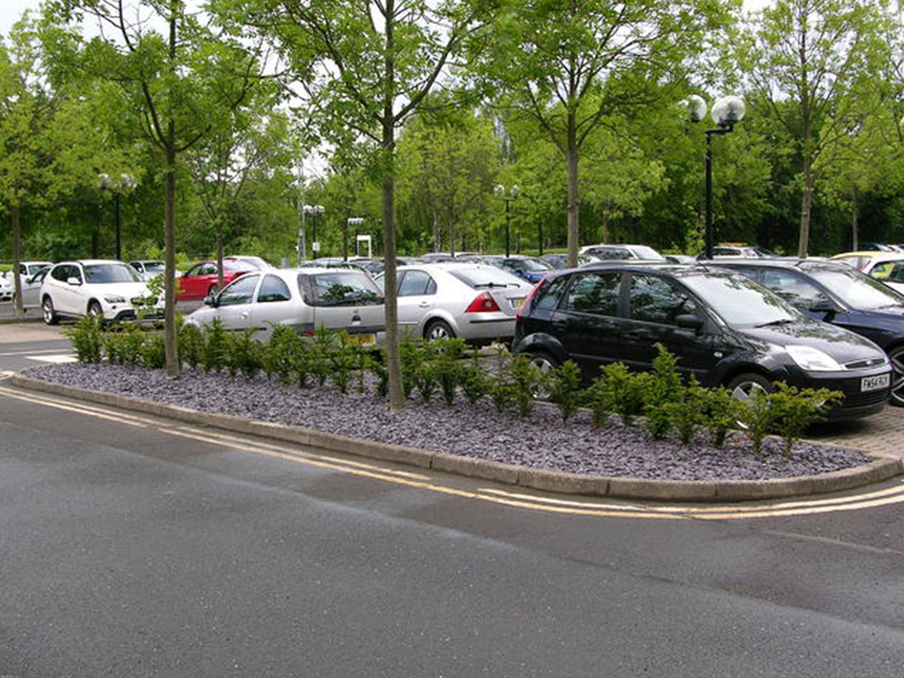 BMW UK required a modern and formal appearance to ensure their landscape was in keeping with the BMW brand.