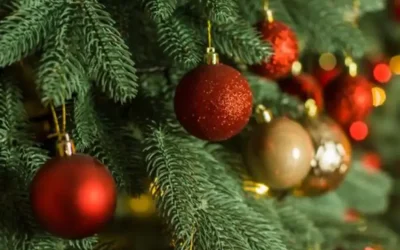 spa-landscapings-christmas-closing-dates