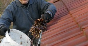 A person pulling leaves out of a roof gutter