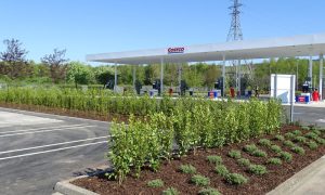 Costco petrol station